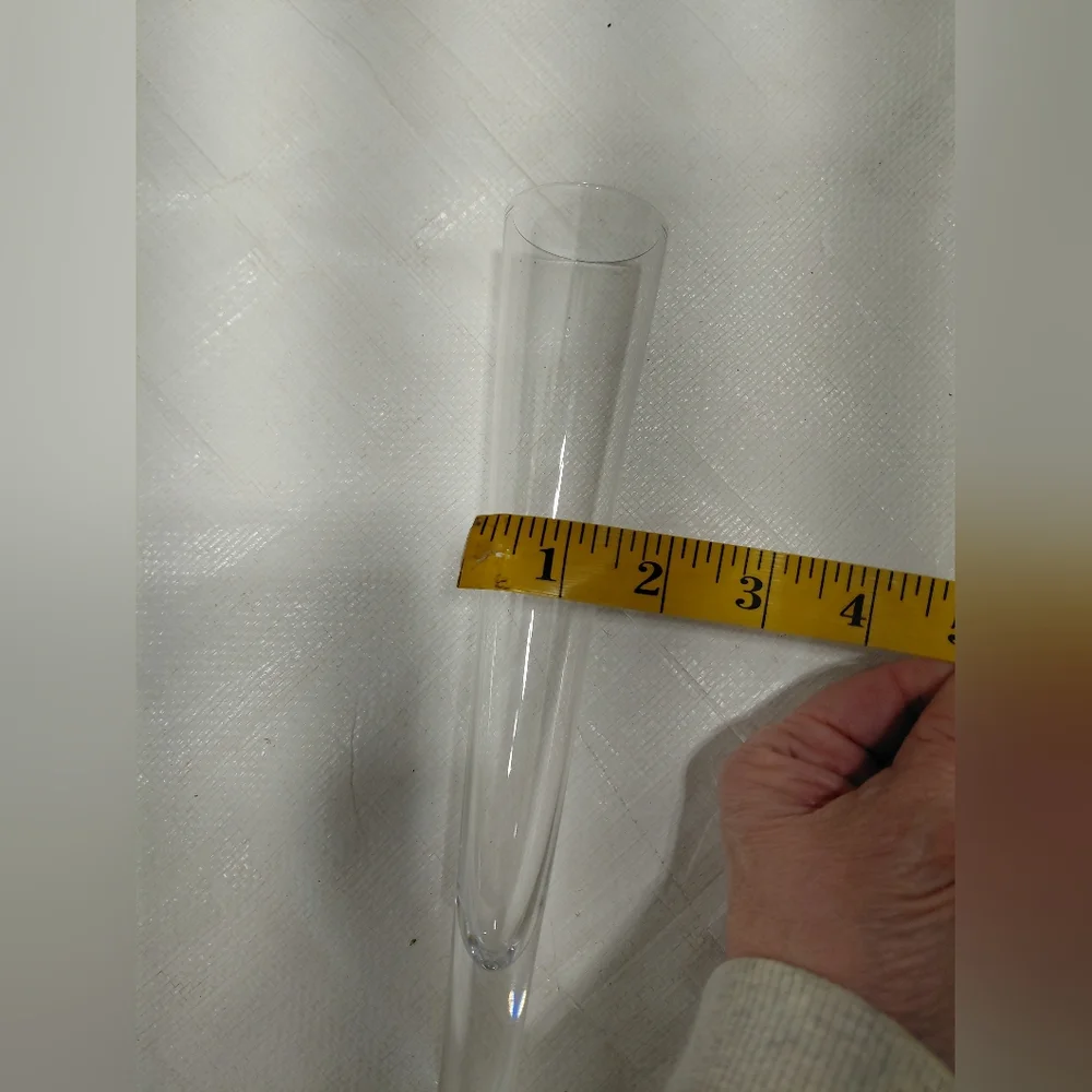 Crate & Barrel Viva Fluted Champagne Glasses NWOT